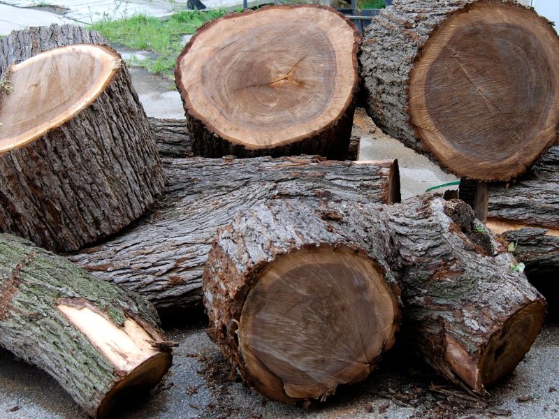 Độ bền của gỗ óc chó đứng top đầu trong các loại gỗ