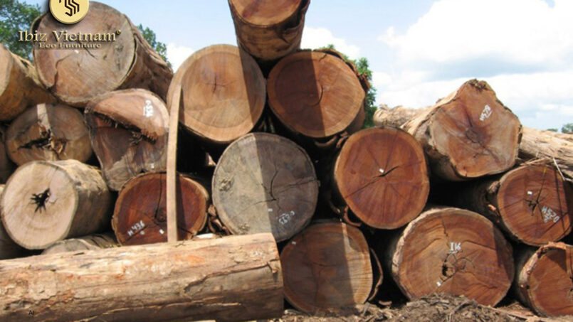 gỗ óc chó thuộc nhóm mấy