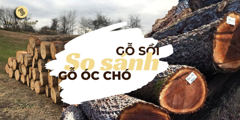 so sánh gỗ sồi và gỗ óc chó